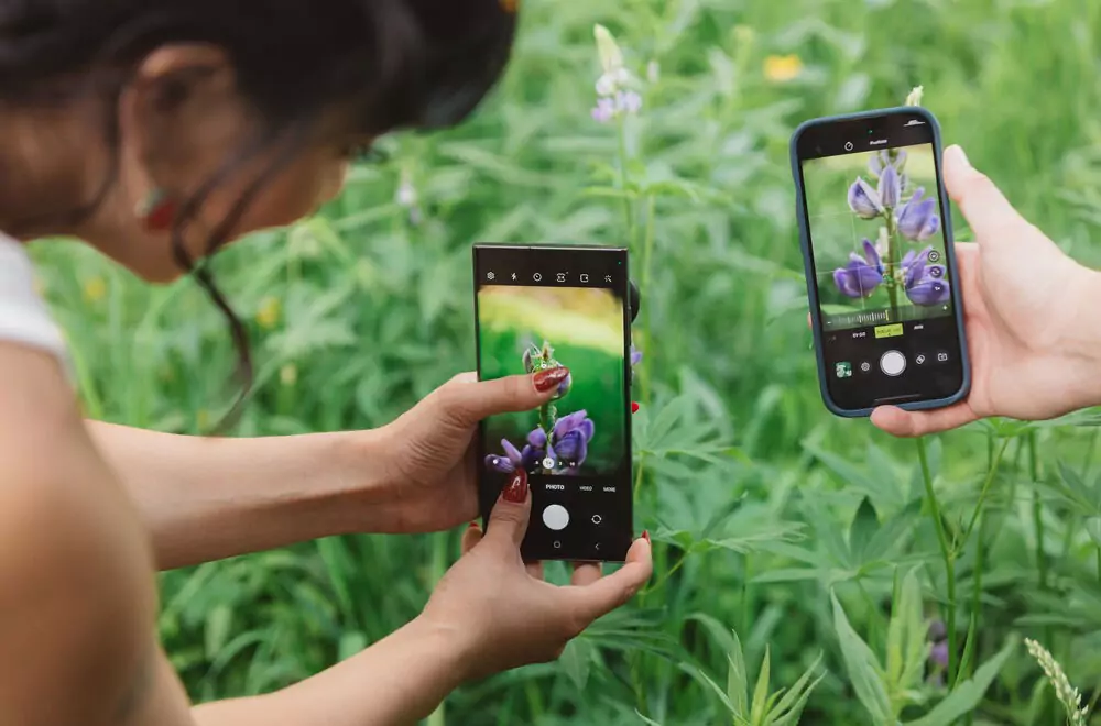 Capture Macro Moments