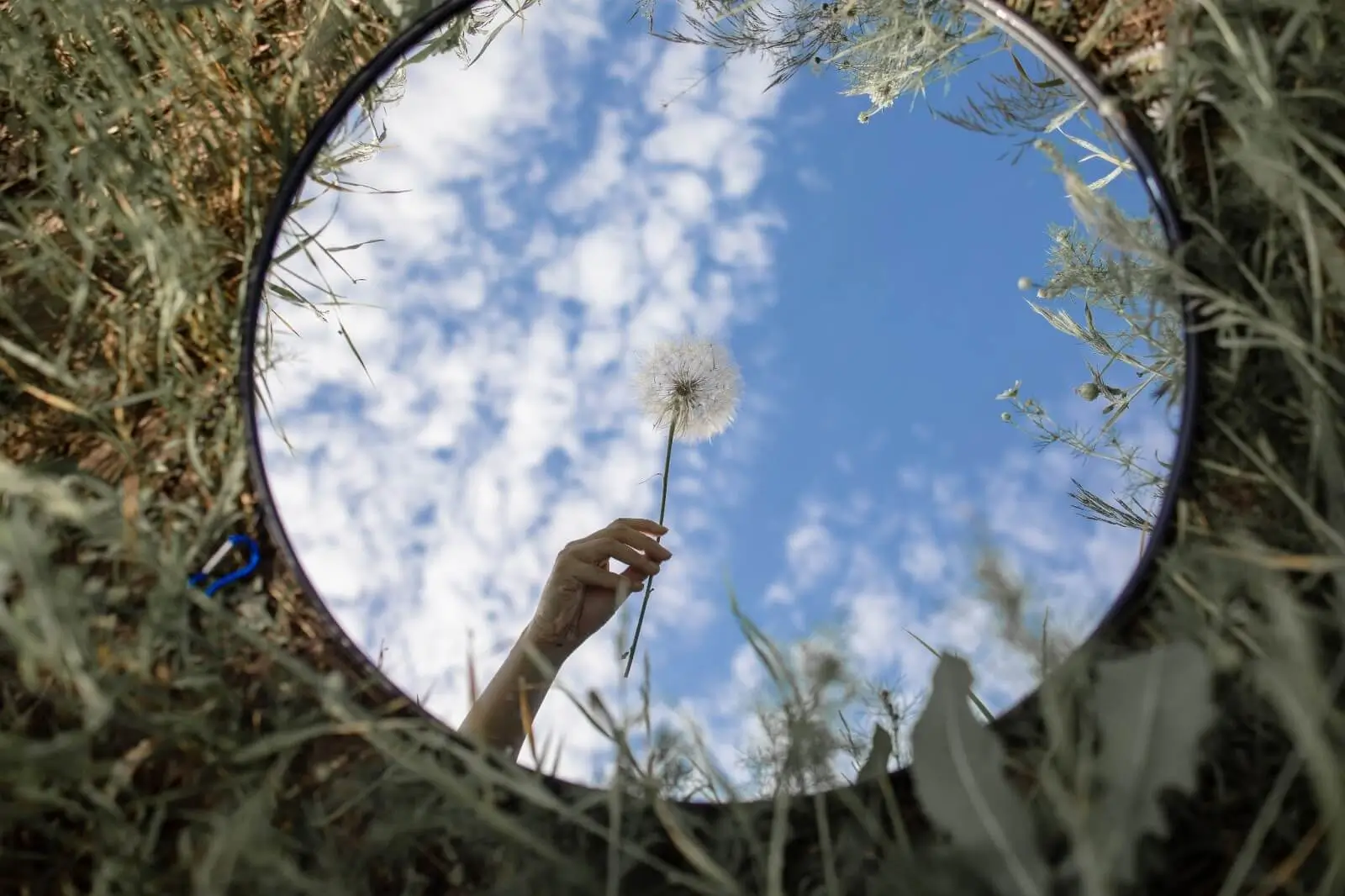 Explore Reflections and Mirrors
